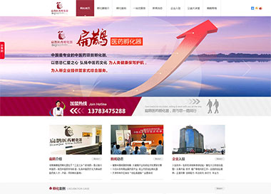 點擊查看建站案例-河南扁鵲醫(yī)藥孵化器案例